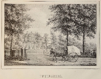 © iskandarbooks - 38 Petrusberg